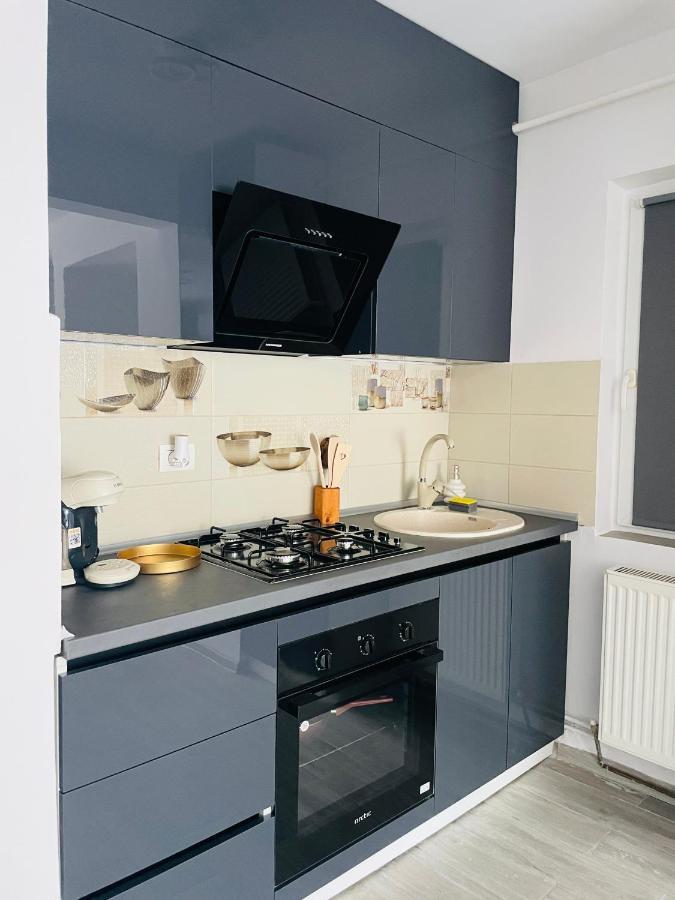 Timisoara Central Apartment New Parking !! Ngoại thất bức ảnh