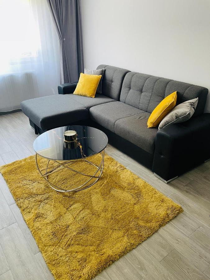 Timisoara Central Apartment New Parking !! Ngoại thất bức ảnh