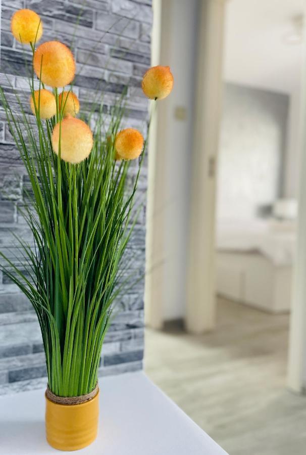 Timisoara Central Apartment New Parking !! Ngoại thất bức ảnh