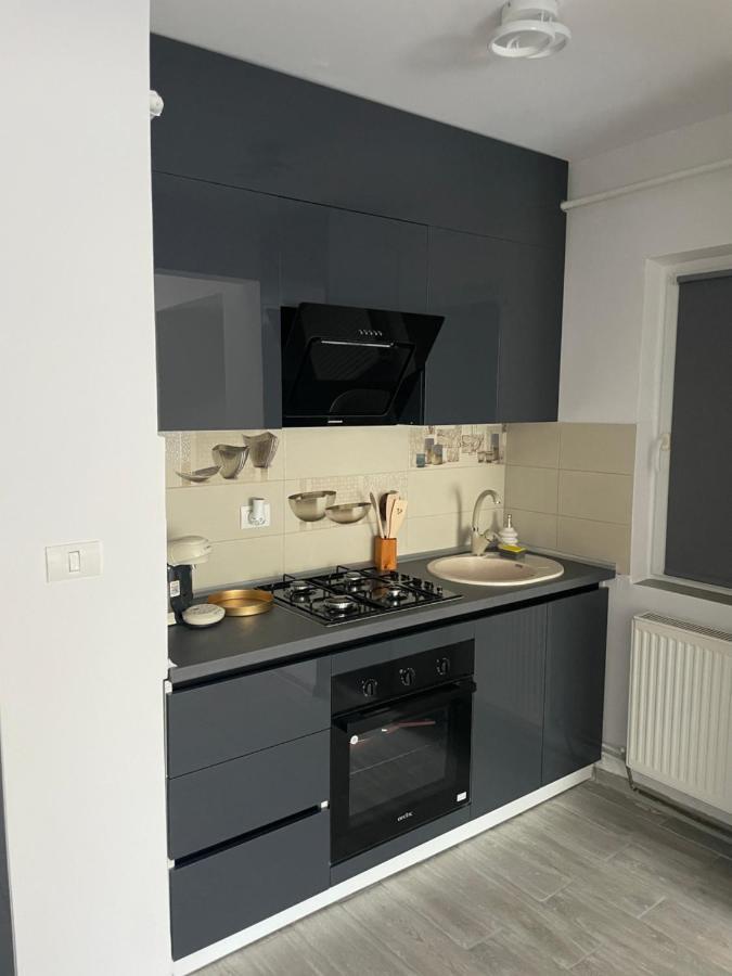 Timisoara Central Apartment New Parking !! Ngoại thất bức ảnh
